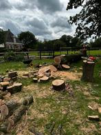 Bomen kappen & zagen - Gratis, Minder dan 3 m³, Ophalen