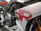 Suzuki GSX-8R (bj 2025), Bedrijf, Sport, Info-verkoop@nimag.nl, Meer dan 35 kW