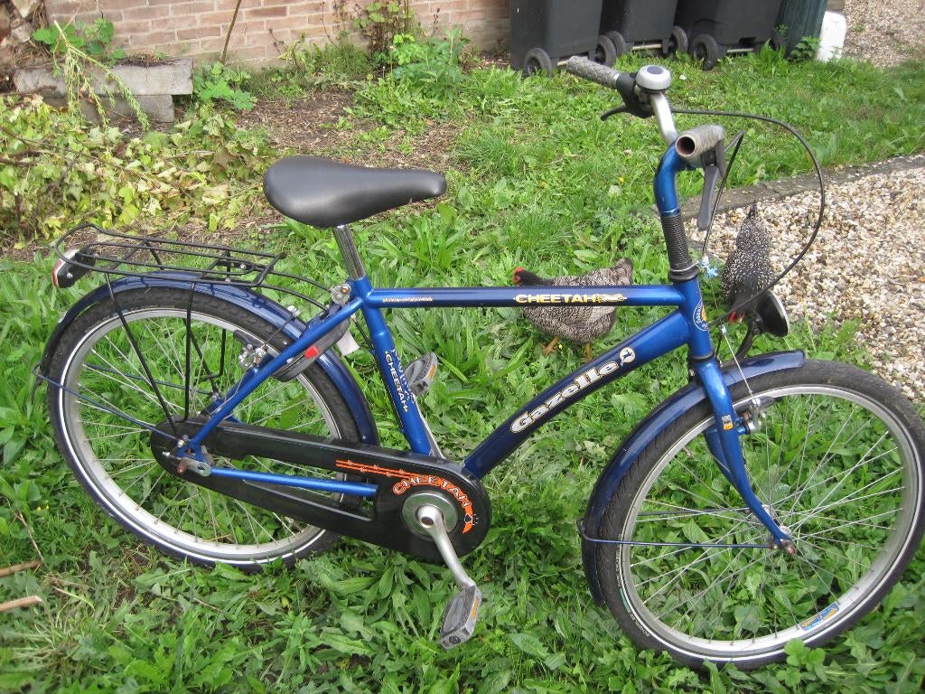 jongensfiets 24 inch, Fietsen en Brommers, Fietsen | Jongens, Ophalen, Terugtraprem, Handrem, Gazelle