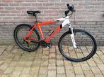 Degelijke mountainbike American eagle, Gebruikt, Hardtail, 45 tot 49 cm, Ophalen