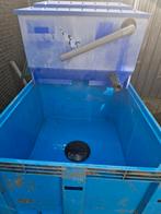 Opvang bak vissen, Karper of Koi