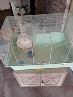 Hamster kooi, Dieren en Toebehoren, Knaagdieren en Konijnen | Hokken en Kooien, Minder dan 60 cm, Kooi, Minder dan 75 cm, Ophalen of Verzenden