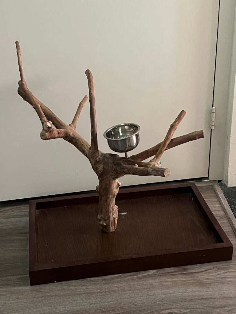 Een boom waar een papegaai op kan neerstrijken., Dieren en Toebehoren, Vogels | Toebehoren, Ophalen of Verzenden