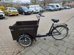 Babboe Dog bakfiets, Ophalen, Zo goed als nieuw, 2 kinderen, Overige merken