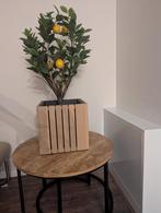 Te koop: kunst citroenboom, Huis en Inrichting, Woonaccessoires | Zuilen en Pilaren, Ophalen