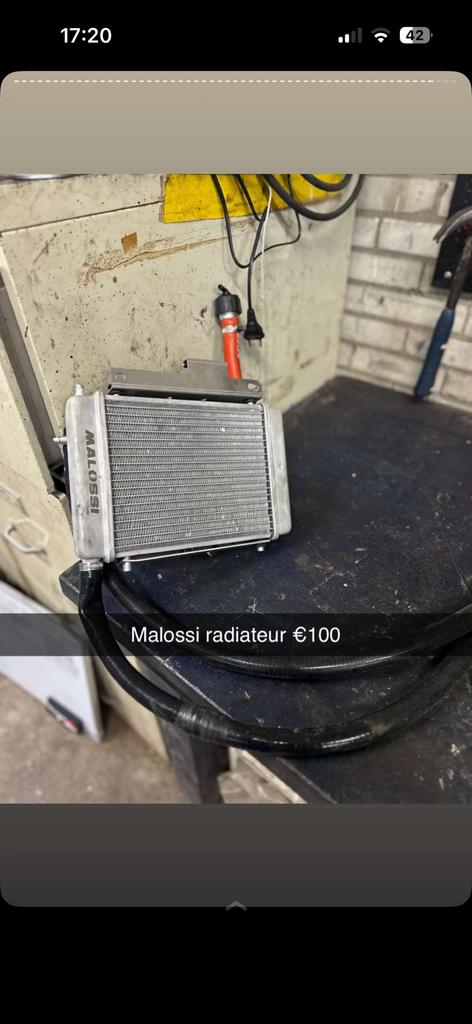 Malossi radiateur, 33 - 40 uur, Overige niveaus, Vanaf 10 jaar, Overige vormen