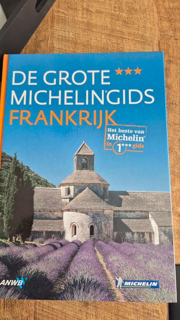 De Grote Michelin Gids Frankrijk - Onbeschadigd, Boeken, Reisgidsen, Ophalen of Verzenden