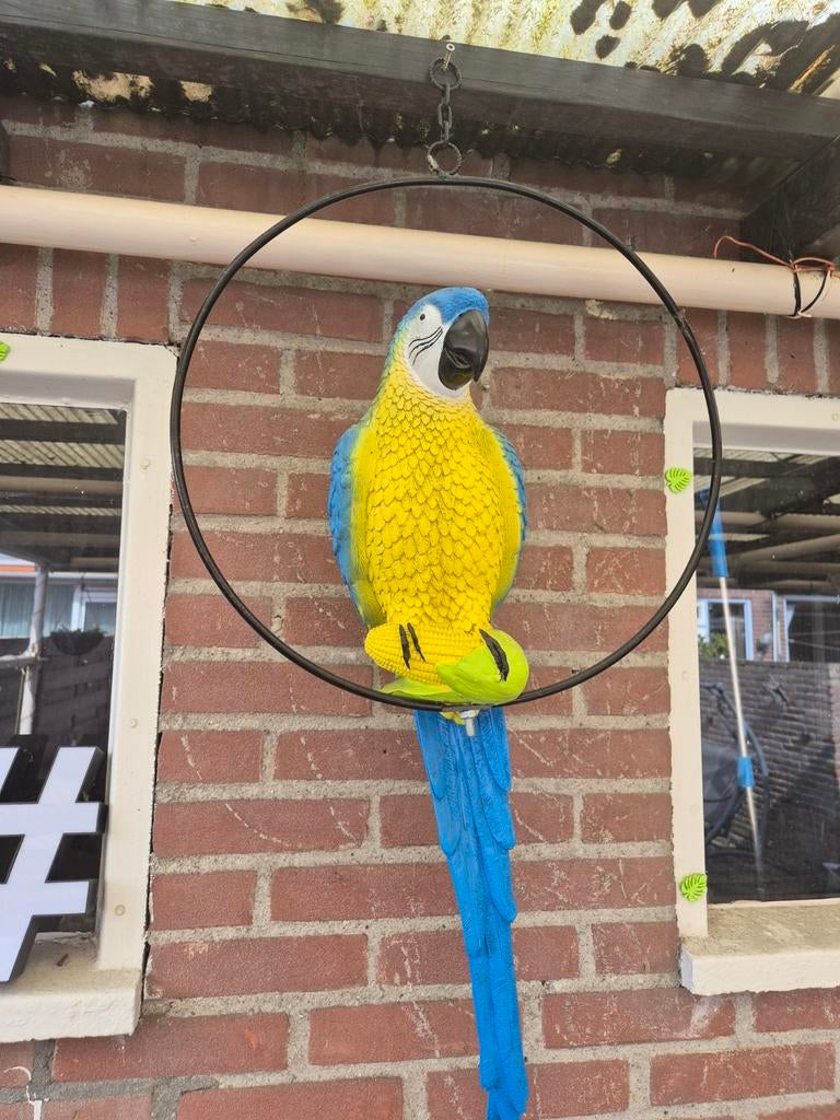 ara-decoratie, Ophalen of Verzenden