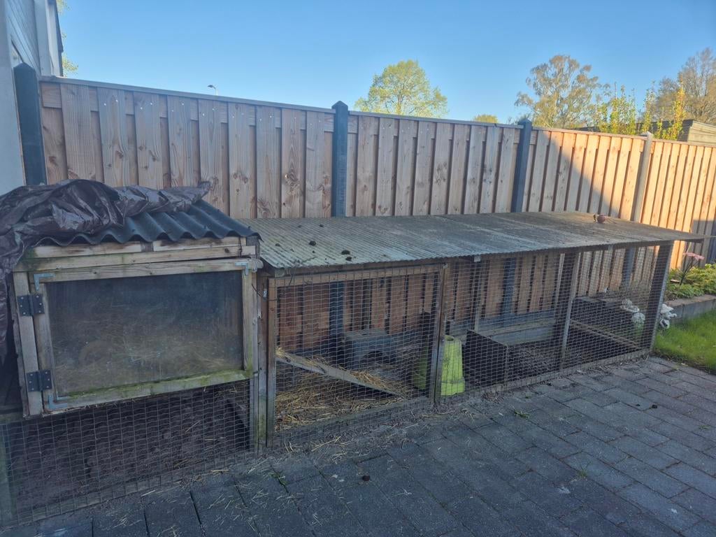Buiten hok/ren, Ophalen, 110 cm of meer, 60 tot 90 cm, Ren
