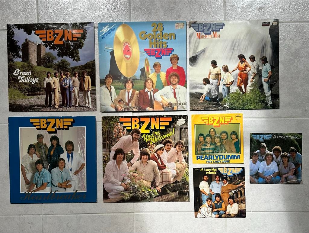 BZN Vinyl Collectie: Albums en Singles (7 stuks), Ophalen of Verzenden, Gebruikt, 12 inch