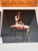 Art op plexi, Ophalen