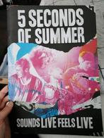 Concertboek 5 Seconds of Summer, Muziek en Instrumenten, Overige Muziek en Instrumenten, Ophalen of Verzenden, Zo goed als nieuw