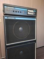 Acoustic 220 met 406 2x15 cabinet JBL E140, Ophalen, Zo goed als nieuw, 100 watt of meer