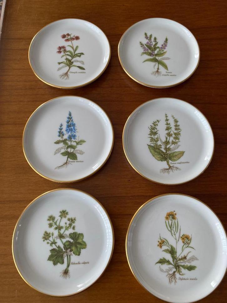 Furstenberg porselein onderzetters (6) geneeskundige planten, Huis en Inrichting, Woonaccessoires | Onderzetters, Zo goed als nieuw