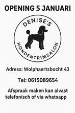 Trimster met nog plekjes beschikbaar, Ophalen of Verzenden, Nieuw