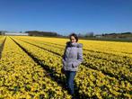 looking for a room, Huizen en Kamers, Amsterdam