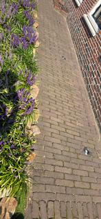 Gebakken klinkers – 50/60 m² – hele partij, Tuin en Terras, Tegels en Klinkers, Ophalen of Verzenden, Zo goed als nieuw, Keramiek