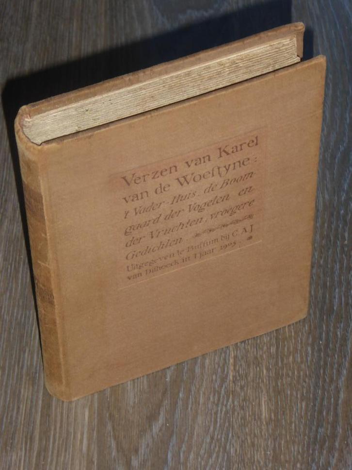 VERZEN VAN KAREL VAN DE WOESTIJNE, Boeken, Overige Boeken, Zo goed als nieuw, Verzenden