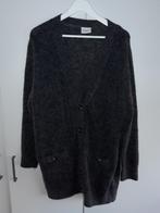 Redgreen Grijs Vest Met Knopen Maat XL, Maat 46/48 (XL) of groter, Nieuw, Ophalen of Verzenden, Grijs