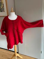 Peet: Mooie asymmetrische vilten LaBass trui tot maat 56, LaBass, Trui of Vest, Ophalen of Verzenden, Zo goed als nieuw