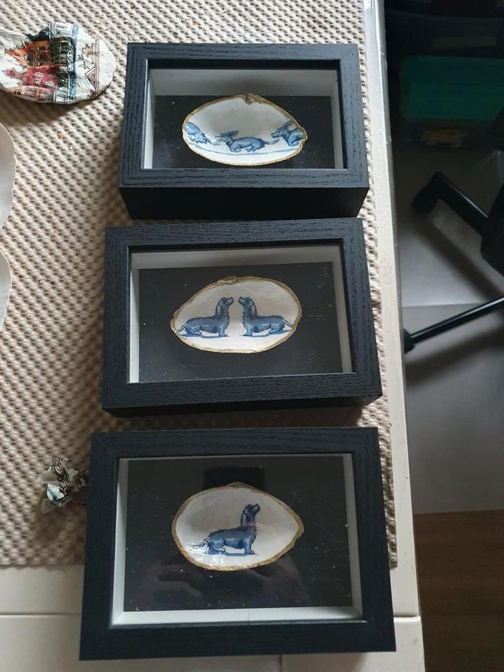 Drie ingelijste schelpen met teckel afbeelding, Antiek en Kunst, Kunst | Overige Kunst, Ophalen of Verzenden