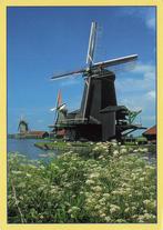 Zaanse Schans, molens, Ophalen of Verzenden, 1980 tot heden, Gelopen, Noord-Holland
