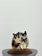 Opgezette Vlinders in Glazen Stolp - Wildernis Atelier, Ophalen of Verzenden, Nieuw, Opgezet dier