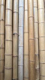 Bamboepalen €2 per stuk - ca 20 stuks, Ophalen, Zo goed als nieuw, 180 tot 250 cm, Palen