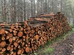 Stammen Douglas brandhout stookhout haardhout, Tuin en Terras, Haardhout, 6 m³ of meer, Ophalen of Verzenden, Blokken