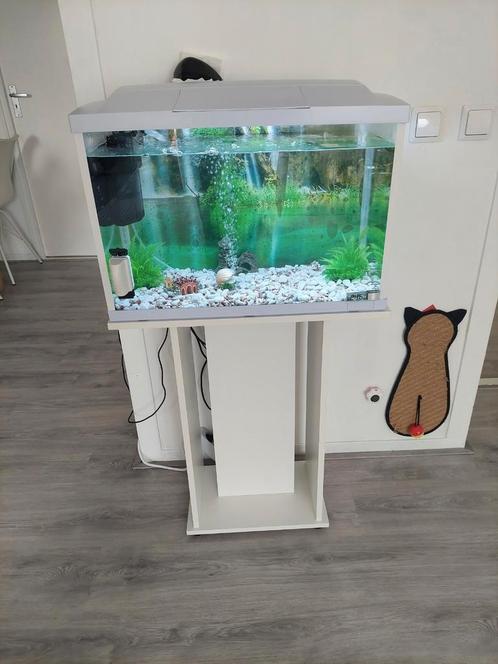 Aquarium compleet met alles, Dieren en Toebehoren, Vissen | Aquaria en Toebehoren, Zo goed als nieuw, Leeg aquarium, Ophalen of Verzenden