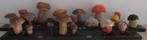 collectie oude modellen paddestoelen uit school apotheek 22, Antiek en Kunst, Curiosa en Brocante, Verzenden