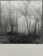 Zeefdruk van foto Ralph Janowski, Antiek en Kunst, Kunst | Litho's en Zeefdrukken, Verzenden
