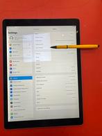 Ipad pro 12,9 inc 256 gb , 2e generatie 4G/LTE, Computers en Software, Apple iPads, Ophalen of Verzenden, 12 inch, Grijs, Apple iPad