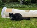 Als nieuw. Kattenspeeltunnel 3-in-1, Ophalen of Verzenden, Zo goed als nieuw