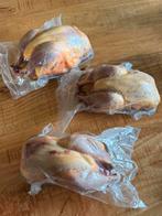 Wilde bosfazant (Haan), 33 - 40 uur, Overige niveaus, Overige vormen