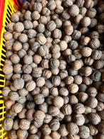 Franse walnoten. Oogst 2025. Totaal 30 kg., Ophalen