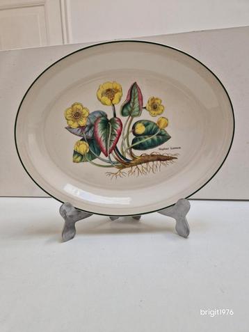 Wedgwood schaal Florabunda beschikbaar voor biedingen