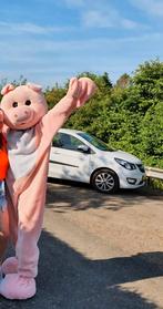 Varken Mascotte Pak / Kostuum, Ophalen of Verzenden, Gebruikt, 122 t/m 128, Jongen of Meisje