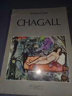 Chagall posters in boek nieuw, Antiek en Kunst, Kunst | Litho's en Zeefdrukken, Ophalen of Verzenden