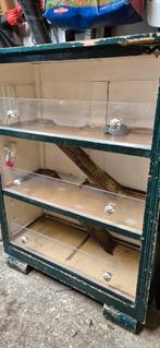 Cavia/ knaagdier flat., Ophalen, 110 cm of meer, 90 cm of meer, Hok