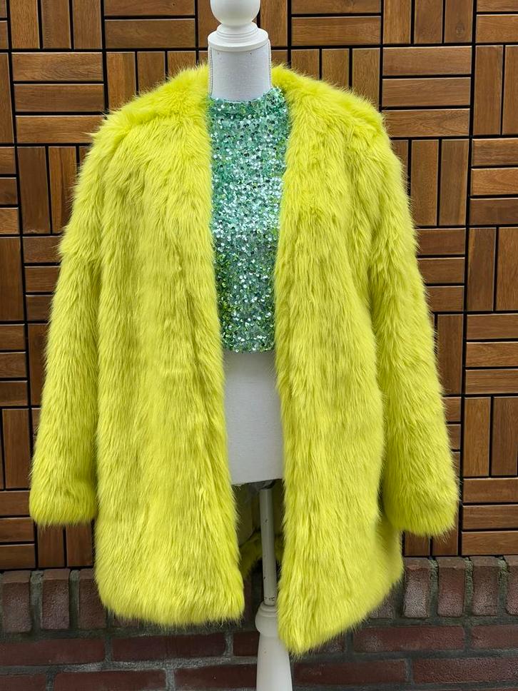 Appeltjes groene nas maat 40, Kleding | Heren, Carnavalskleding en Feestkleding, Gedragen, Kleding, Ophalen of Verzenden