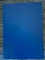 PAUL KLEE / Tagebücher 1898-1918, Ophalen of Verzenden, Gelezen