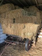 Hooi, kleine baaltjes oogst 2025, Ophalen, Vee