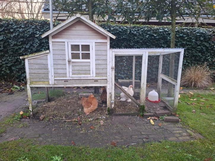 Kippenhok 225x80x145 cm, Dieren en Toebehoren, Pluimvee | Toebehoren, Gebruikt, Kippenhok of Kippenren, Ophalen