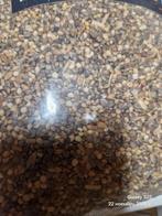 Particles voor karper aas 5 kg, Watersport en Boten, Hengelsport | Karpervissen, Ophalen of Verzenden