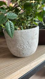 Landelijk bloempotje, Huis en Inrichting, Ophalen of Verzenden, Zo goed als nieuw