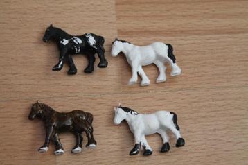 HO paarden en varkens beschikbaar voor biedingen