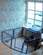 Puppy ren 60cm hoog, Ophalen, Zo goed als nieuw