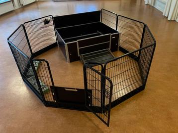 Honden werpkist te huur beschikbaar voor biedingen
