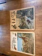 Twee grote tweezijdige schoolplaten giraf-luiaard-gems-ree, Antiek en Kunst, Ophalen of Verzenden